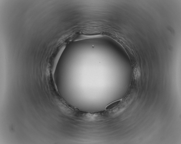 X0000115690570200911121310
