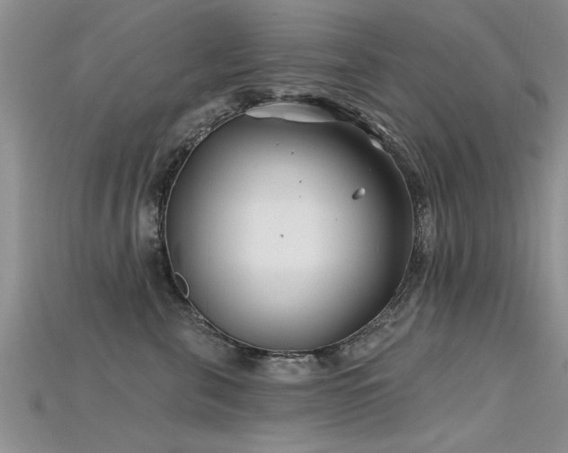 X0000115690571200911121310