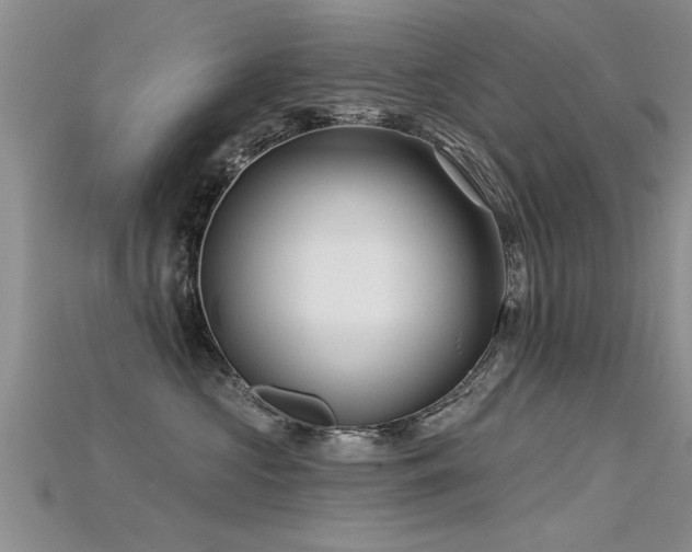 X0000115690573200911121310