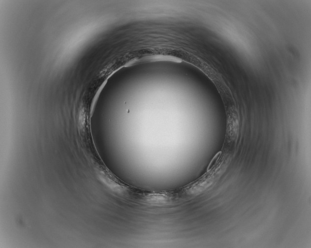 X0000115690574200911121310