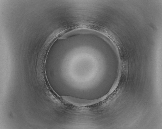 X0000115690577200911121309