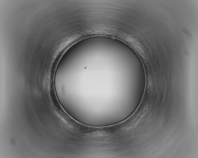 X0000115690578200911121309