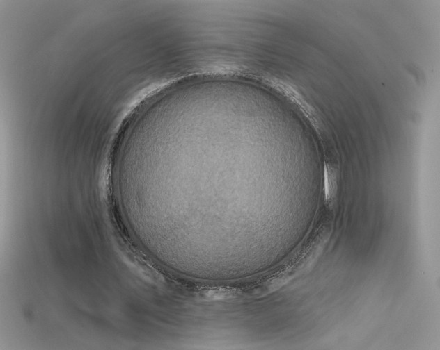 X0000115690579200911121309