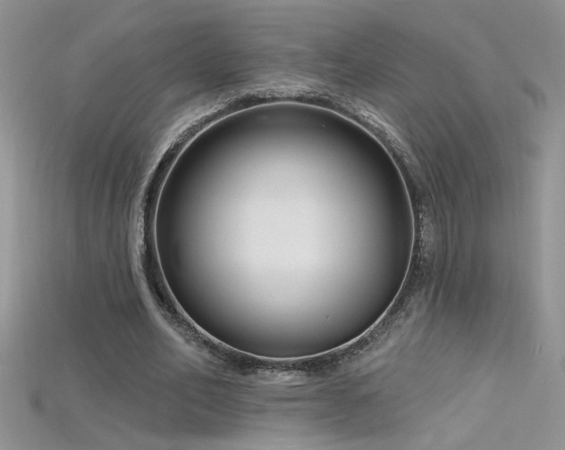 X0000115690582200911121309