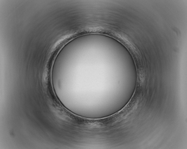 X0000115690583200911121309