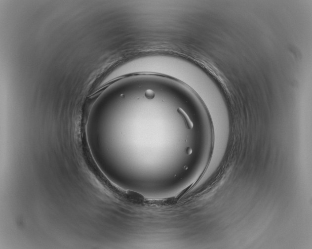 X0000115690585200911121309
