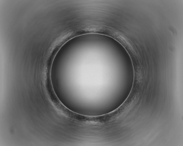 X0000115690586200911121309