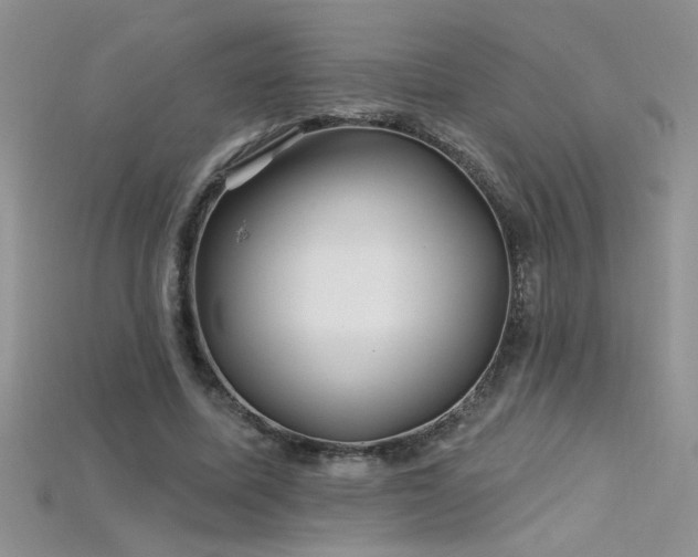 X0000115690587200911121309