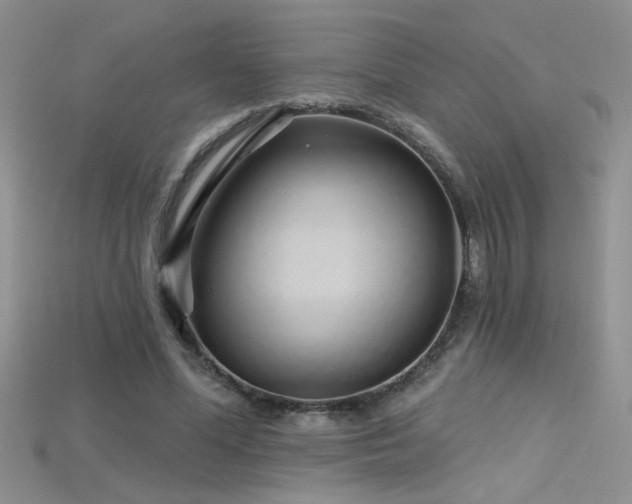X0000115690588200911121309