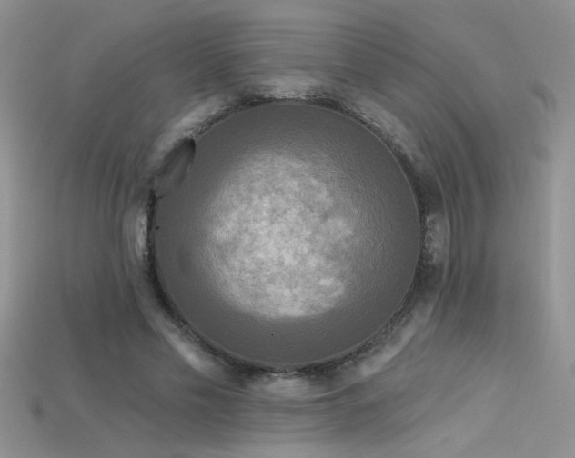 X0000115690589200911121309