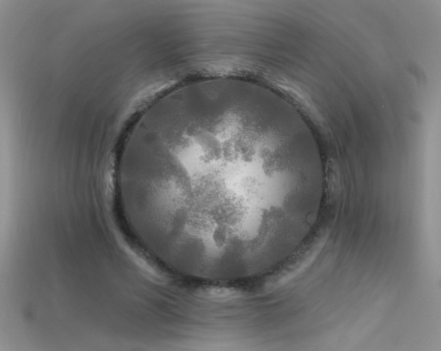 X0000115690590200911121309