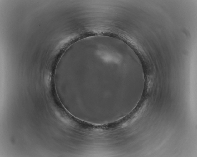 X0000115690592200911121309