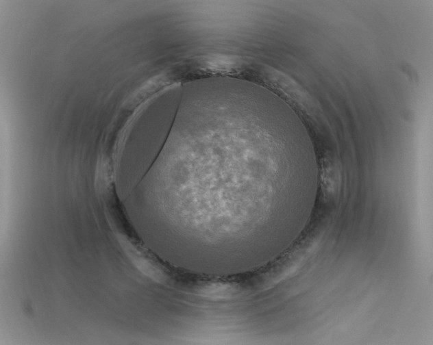 X0000115690593200911121309