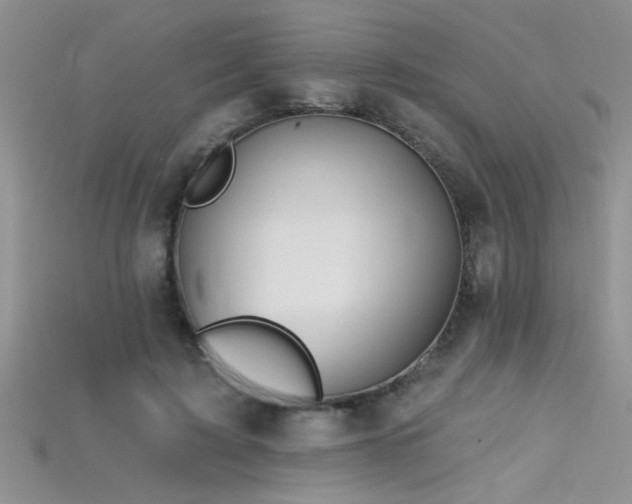 X0000115690595200911121309