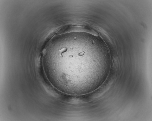 X0000115690596200911121309