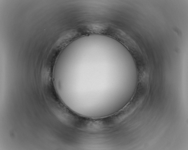 X0000115690599200911121309