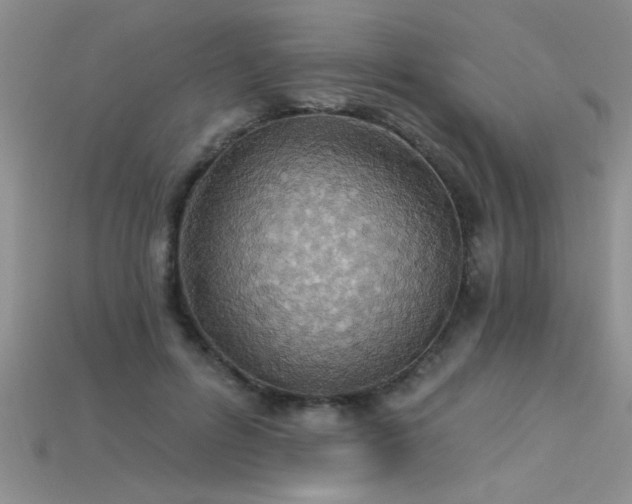 X0000115690600200911121309