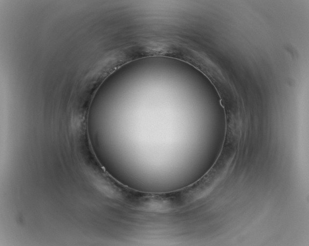 X0000115690601200911121309