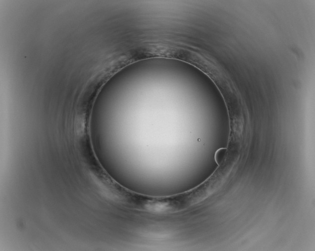 X0000115690602200911121309