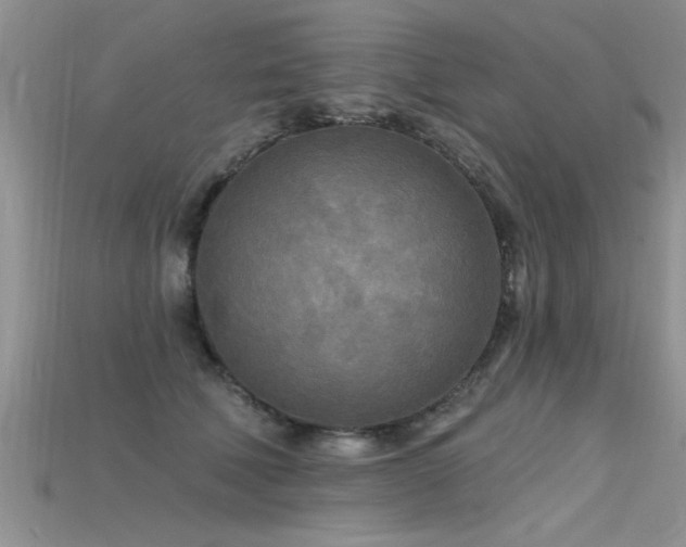 X0000115690610200911121309