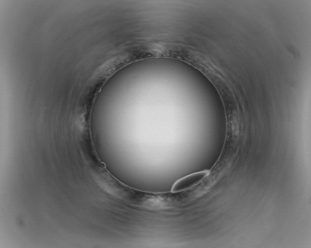 X0000115690611200911121309