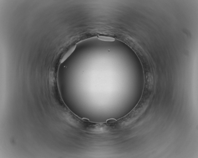 X0000115690612200911121309