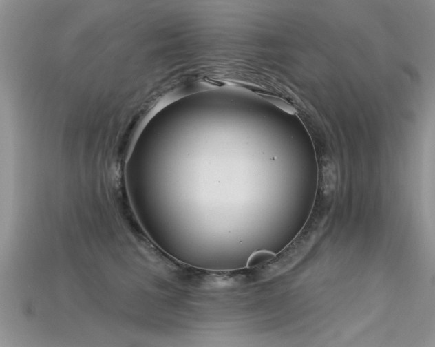 X0000115690613200911121309