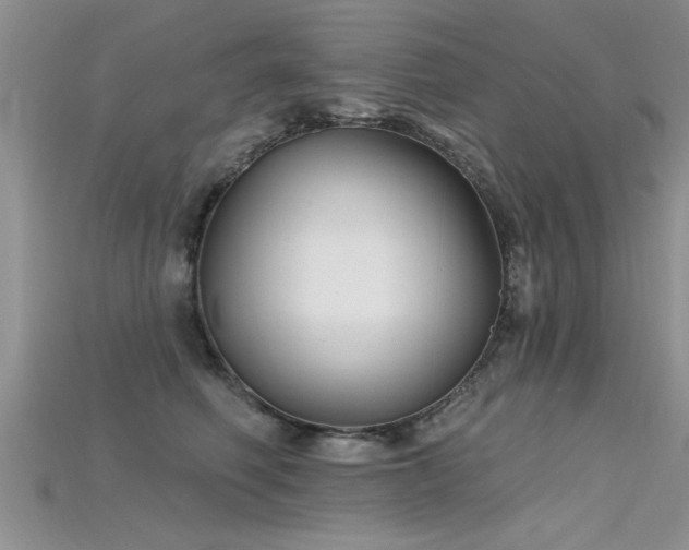 X0000115690614200911121309
