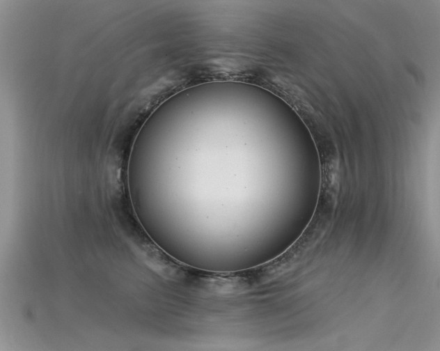 X0000115690615200911121309