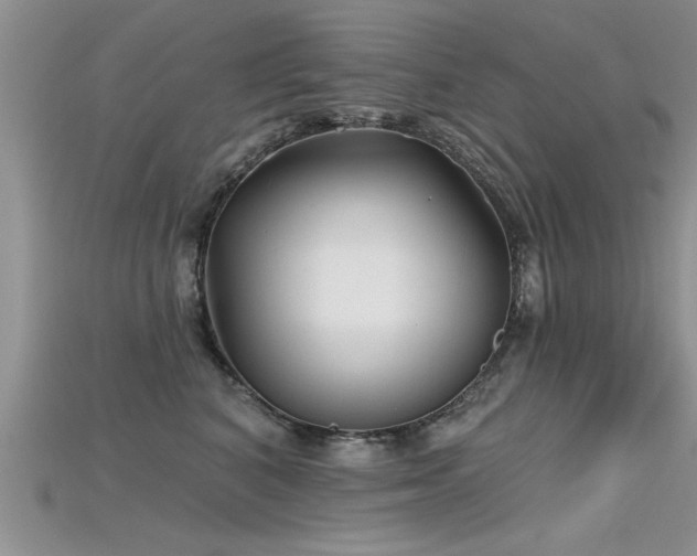 X0000115690616200911121309