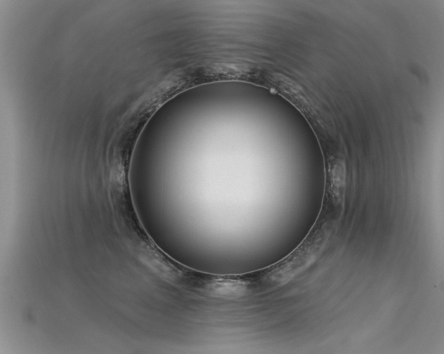 X0000115690617200911121309