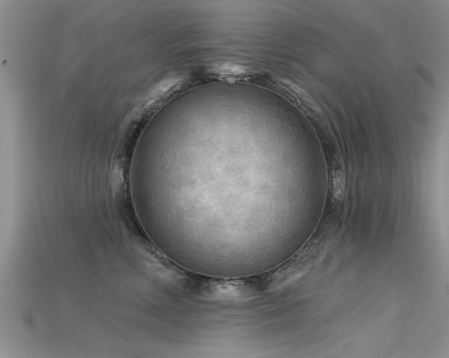 X0000115690618200911121309