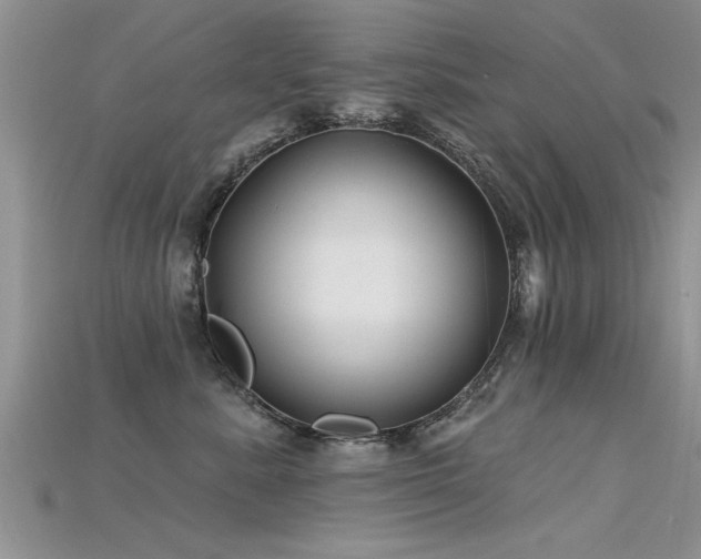 X0000115690619200911121309