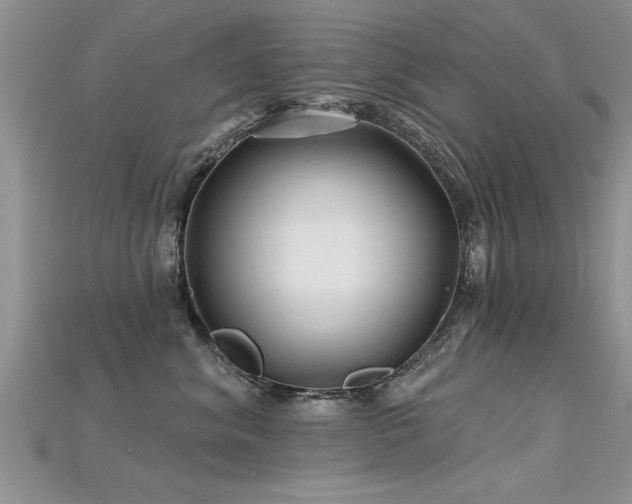 X0000115690620200911121309
