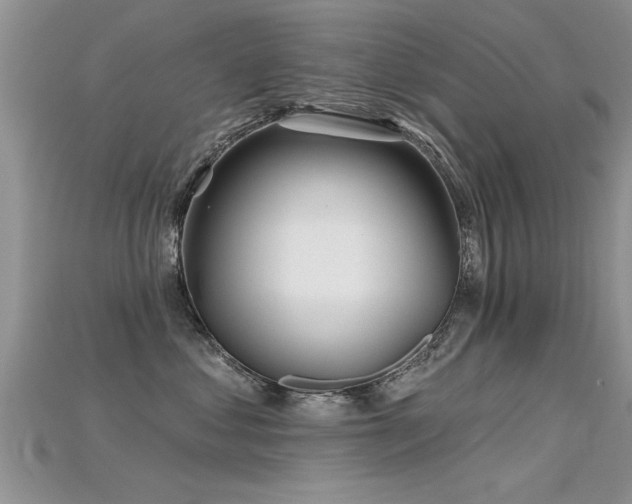 X0000115690621200911121309