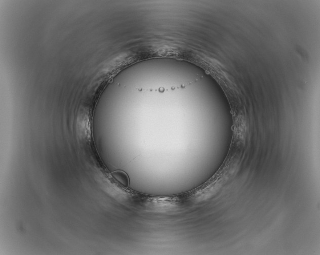 X0000115690622200911121309