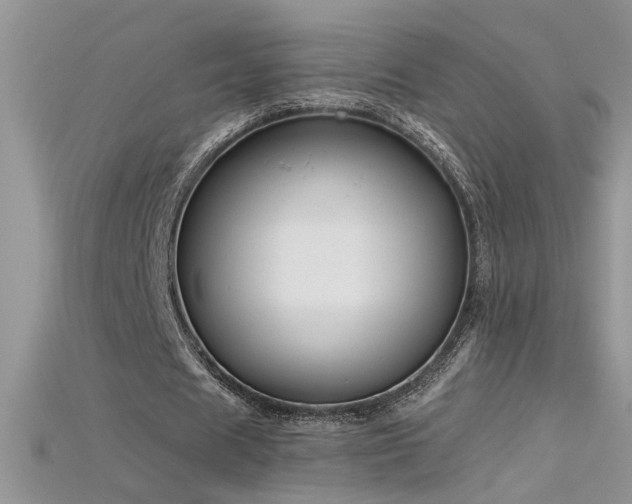 X0000115690625200911121308