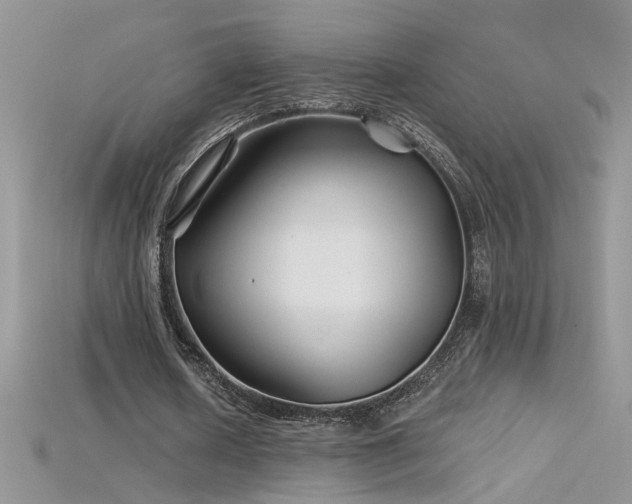 X0000115690626200911121308