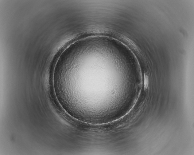 X0000115690627200911121308