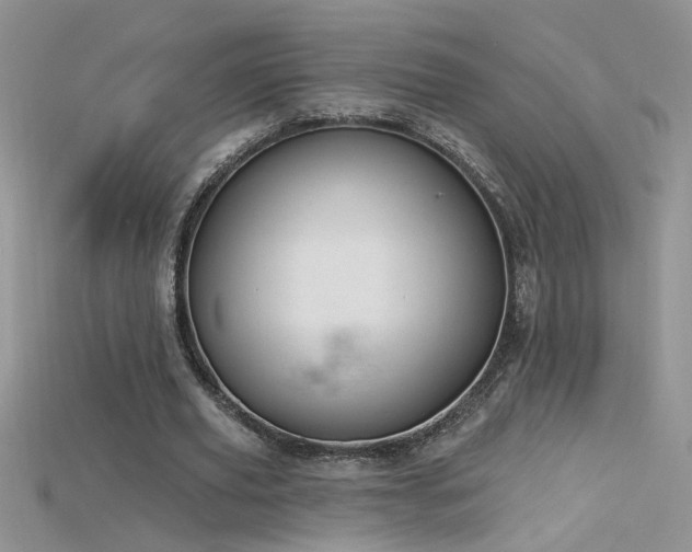 X0000115690629200911121308