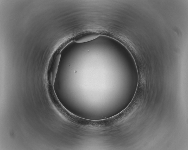X0000115690630200911121308