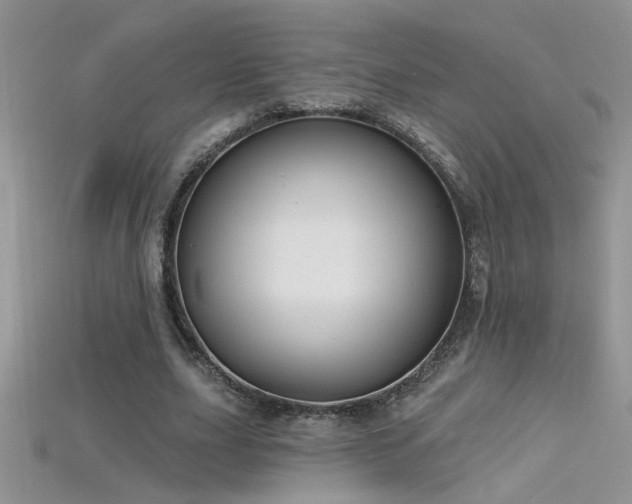 X0000115690631200911121308