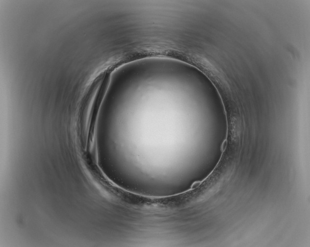 X0000115690634200911121308