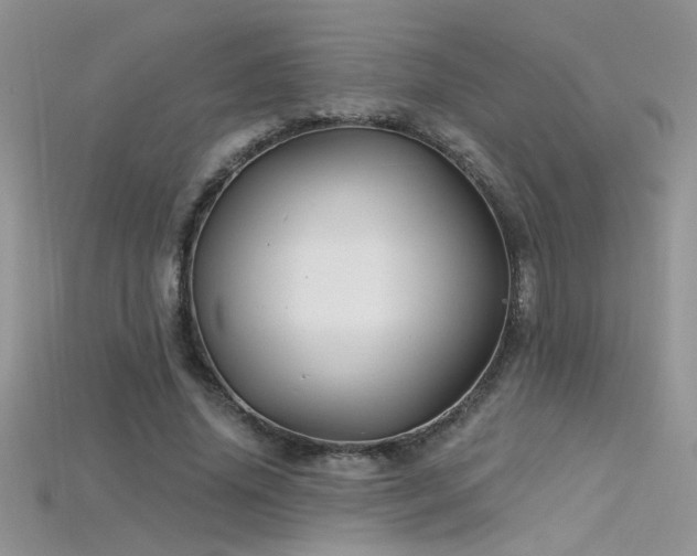 X0000115690636200911121308