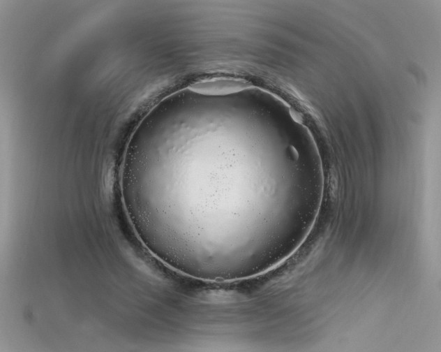 X0000115690637200911121308