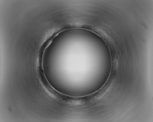 X0000115690638200911121308