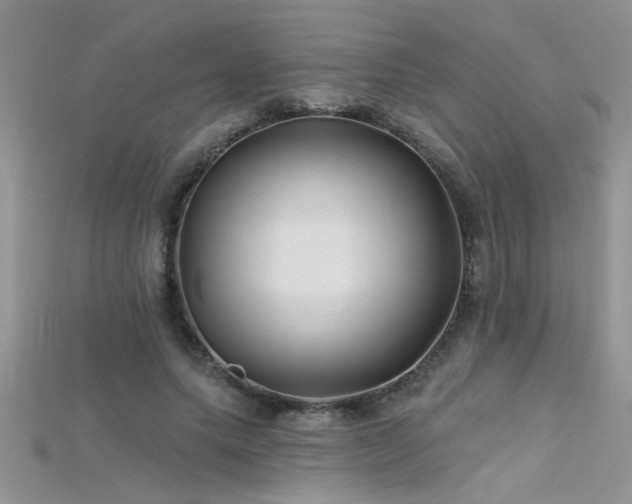 X0000115690639200911121308
