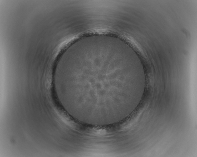 X0000115690640200911121308