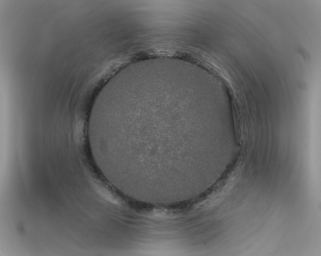 X0000115690641200911121308