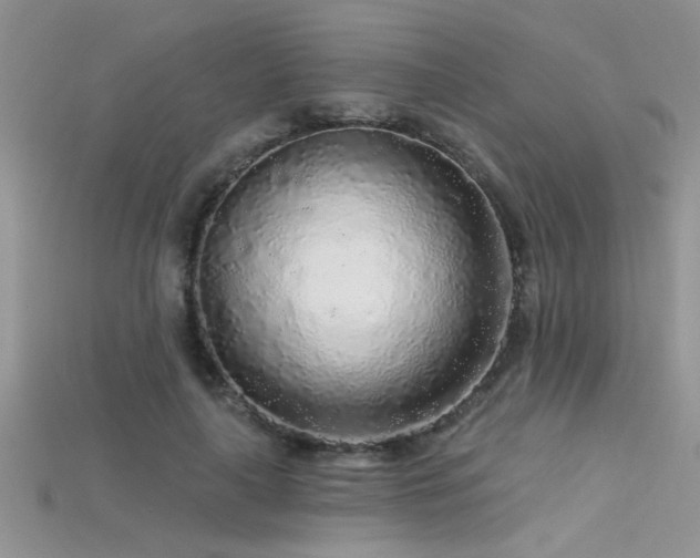 X0000115690643200911121308